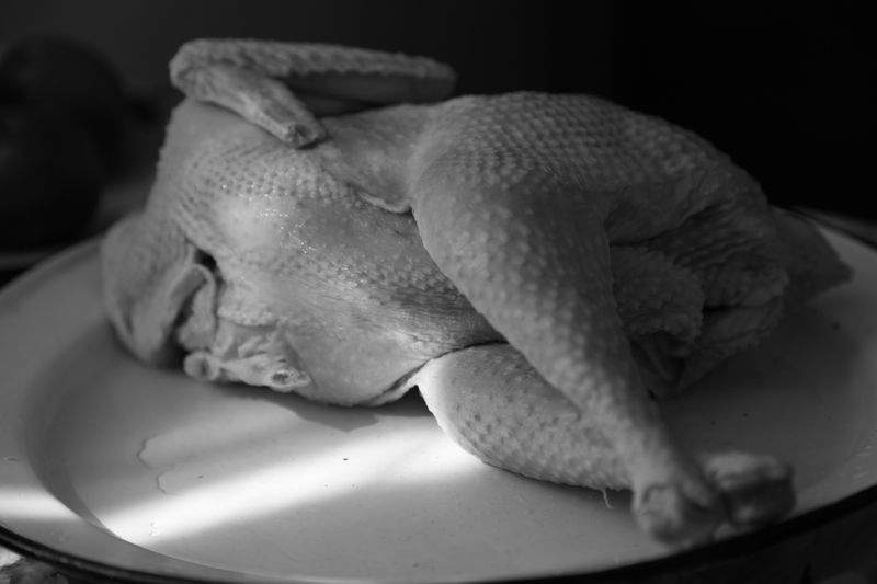 Préparer l’arrivée d’un nouveau coq au poulailler